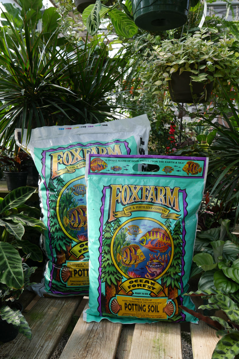 Ocean Forest Potting Mix