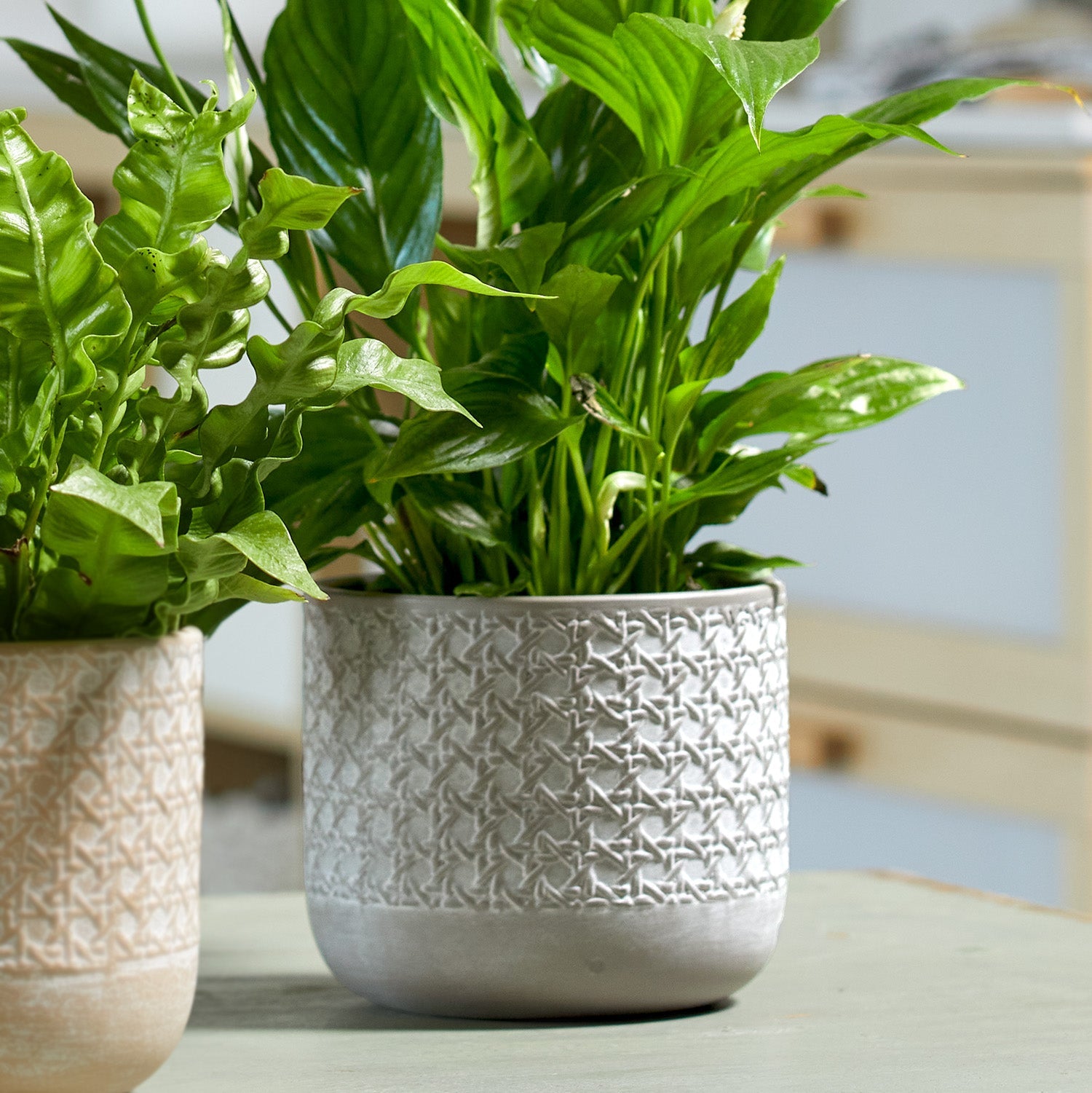SK Pottery