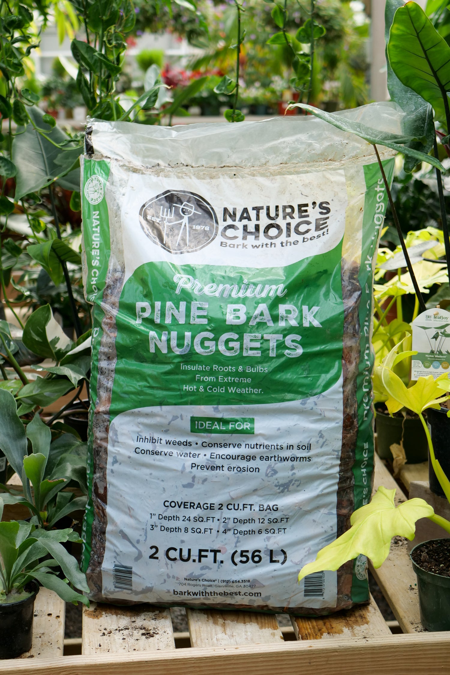 Pine Bark Nuggets
