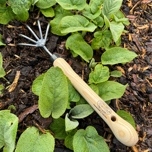 DeWit Cultivator - 5-Tine with 10" Handgrip