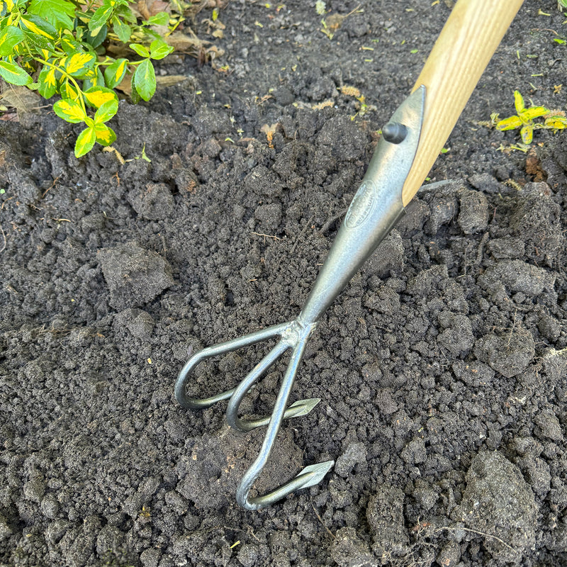 DeWit Cultivator - Flat 3-Tine Long Handle
