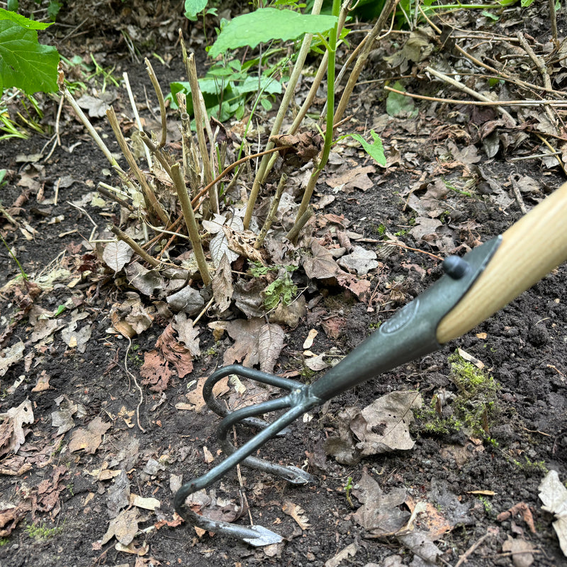 DeWit Cultivator - Flat 3-Tine Long Handle