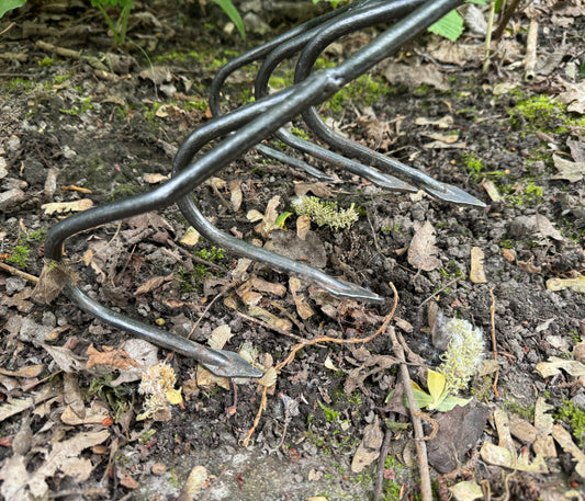 DeWit Cultivator - Flat 5-Tine Long Handle