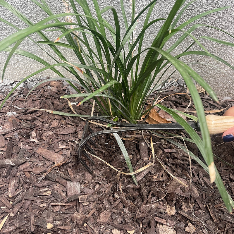 DeWit Cultivator - Bio Rake