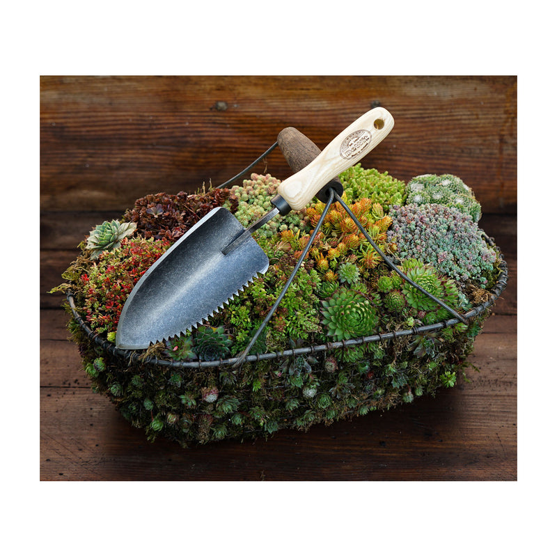 DeWit Trowel - Welldone Serrated