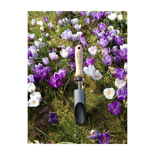 DeWit Planter - Bulb