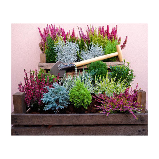 DeWit Spade - Perennial Long Handle