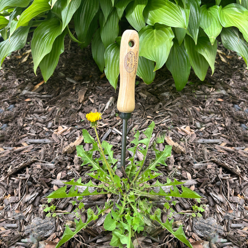 DeWit Weeder - Dandelion