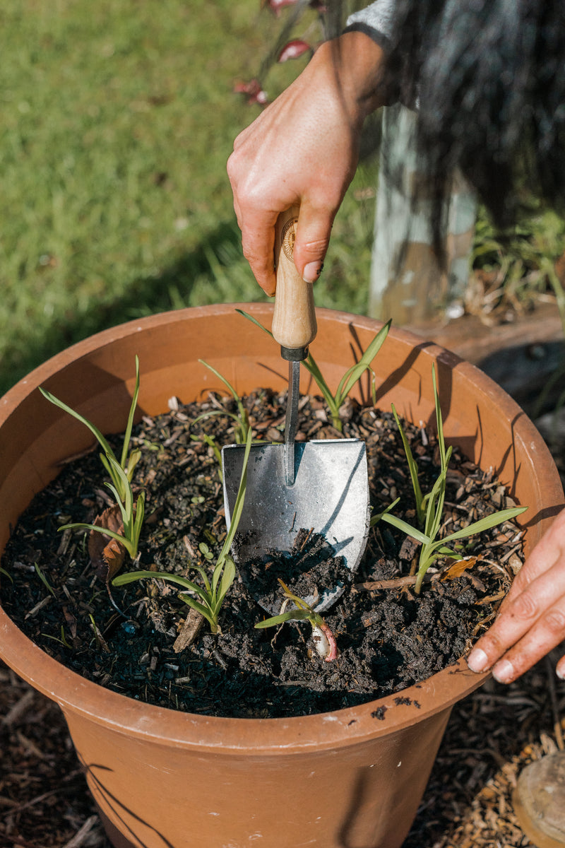 DeWit Shovel - Mini American Welldone